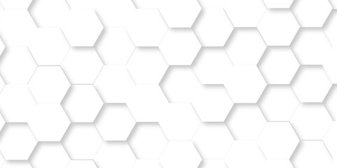 Abstract minimal Background with white lines Hexagonal structure futuristic white background and Embossed Hexagon , honeycomb white mosaic cell web ,light and shadow texture design.