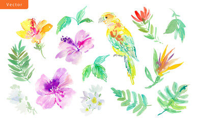 Vector clipart set of abstract watercolor hibiscus flowers, tropical plants, monstera leaves, and parrots. Hand-painted tropical botanical illustrations with exotic plants and bird for summer.