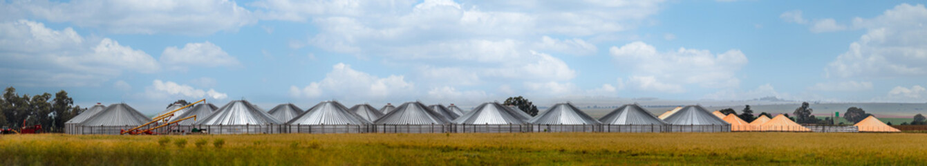 silo complex at a farm storage grain cereals in South Africa in agricultural field land , metal bunker , grain bins daytime blue sky with clouds © poco_bw