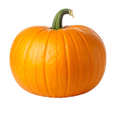 Obraz premium Pumpkin Transparent Background
