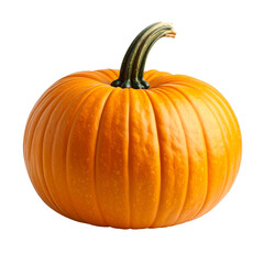 Obraz premium Pumpkin Transparent Background
