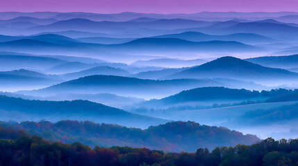 Fototapeta premium The mountains are covered in trees and the sky is a beautiful shade of blue