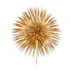 Obraz premium Isolated golden firework burst against white background in a central view