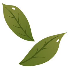 Minimal Green Leaf Illustration. Simple Botanical Leaf Drawing