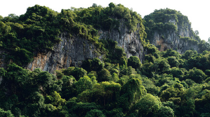 Lush green cliffside forest isolated on transparent background