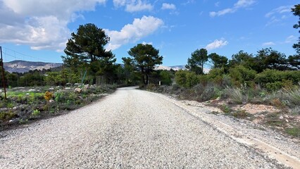 A picturesque scenic gravel path winding its way through lush nature and beneath blue skies