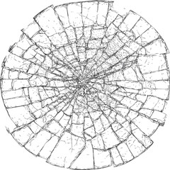 Obraz premium Cross section of a tree trunk showing growth rings in a detailed black line drawing. Vector illustration