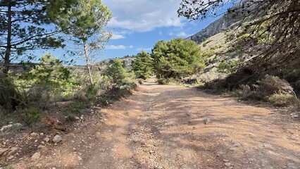 A Scenic Dirt Path That Winds Through Lush Greenery and Rocky, Beautiful Terrain