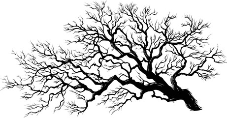 Obraz premium Silhouette of bare tree branches against, detailed illustration. Vector illustration
