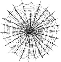 Obraz premium Intricate black and white spider web with radial symmetry illustration. Vector illustration