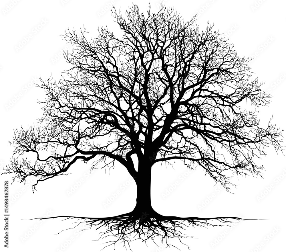 Aufkleber silhouette of a bare tree with intricate branches and visible roots. vector illustration