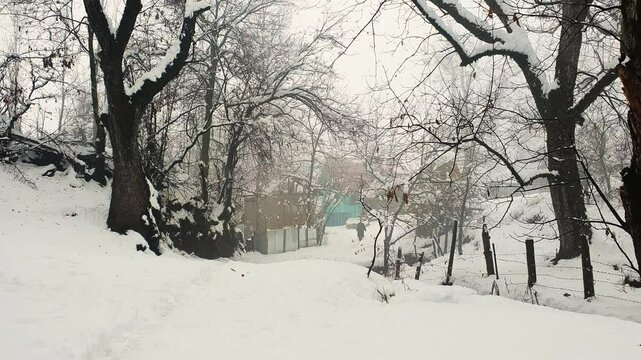 Person walking on snow wearing traditional kashmiri dress fresh white winter snowy kashmir valley, roads houses and whole valley seem white due to snow fall.