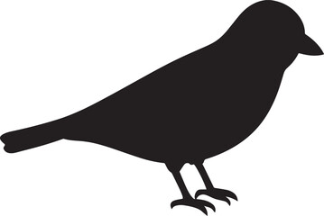 Silhouette of a Bird: A minimalist and elegant silhouette of a bird, standing tall. The bird showcases nature's simplicity. A symbol of freedom, beauty, and wildlife observation.