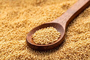 Amaranthus - Raw dried amaranth seeds in spoon. Healthy food