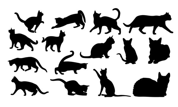 cat silouettes