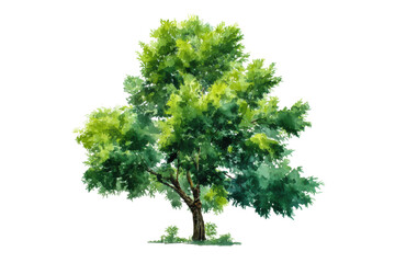 Lush green tree in watercolor art on black background, cut out