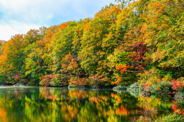仙人池　秋　紅葉
