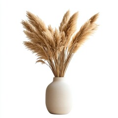 Pampas grass in a vase beige minimalist decoration.