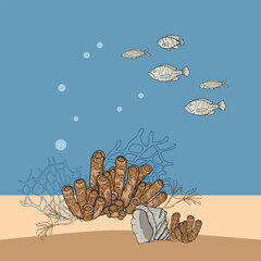 Hand-drawn of various corals and fish in an underwater composition, Detailed drawings of sea life in natural colors, Vector
