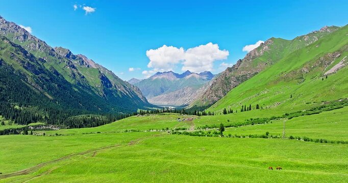 Green mountain valley landscape with lush meadows under a blue sky. Beautiful grassland pasture scenery in Xinjiang, China.