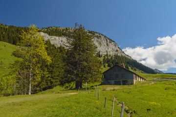 Du pas du Roc, &agrave; Champlaitier