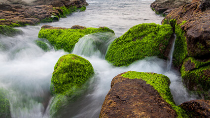 Rocky beach with sea water flows over mosses, Longdongwan Landform Park, Taiwan