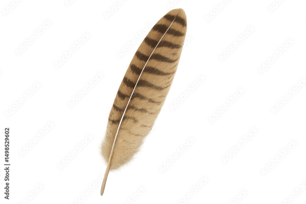 Poster detailed 3d rendering of a brown feather with dark stripes, isolated on a transparent background, pe