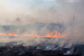 fire and smoke in farm field