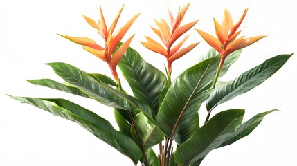 Vibrant orange flower cluster on lush green foliage.