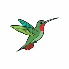 Hummingbird Bird Perched On White