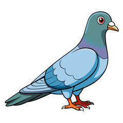 Pigeon Bird Perched On White