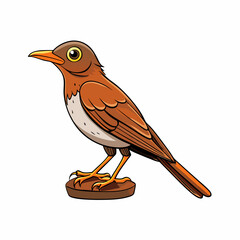 Thrushe Bird Perched On White