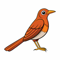 Thrushe Bird Perched Vector Style On White
