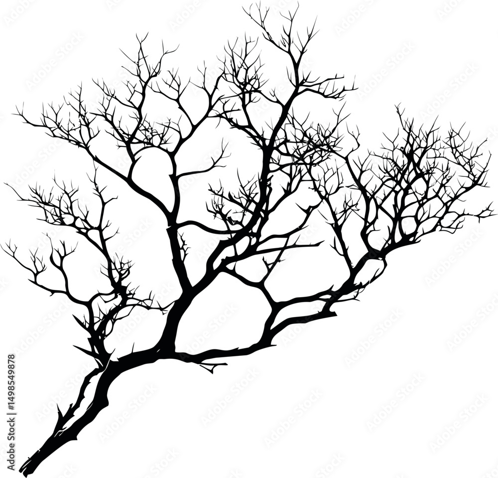 Aufkleber silhouette of a bare tree branch with intricate twigs. vector illustration