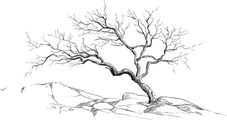 Fototapeta premium Lonely twisted tree sketch on rocky landscape in black and white, nature illustration. Vector illustration