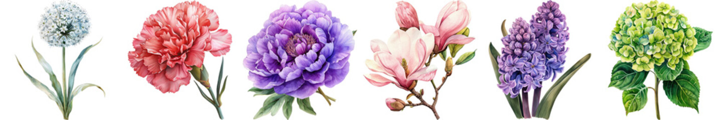 Vibrant Collection of Beautiful Hand-Drawn Floral Illustrations Featuring Varied Flower Types and Colors