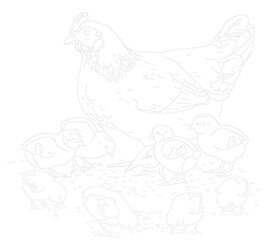The drawing of the hen line brings the chick to eat the shell rice. It is a painting exercise for children and a vector form meditation exercise.