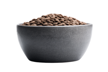 Bowl of dry dog food on black background, cut out
