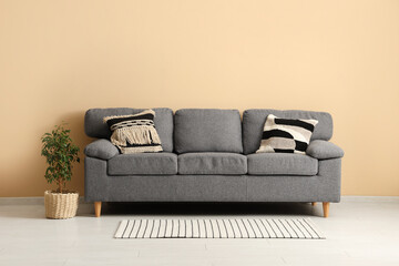 Cozy sofa and houseplant near beige wall in room