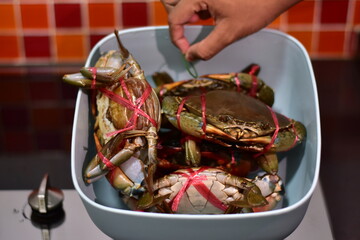yellow curry with serrated mud crab, Fresh serrated mud crabs prepare to sell on street food market, Giant Mud Crabs, Serrated mud crab, Mangrove crab, Black crab,nighttime