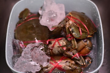 yellow curry with serrated mud crab, Fresh serrated mud crabs prepare to sell on street food market, Giant Mud Crabs, Serrated mud crab, Mangrove crab, Black crab,nighttime