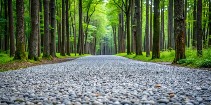Gray gravel path with small pebble road stones in a serene landscape, serenity, forest floor - Powered by Adobe