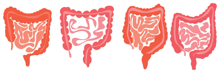 Human Intestine Vector Icon Set – Human Digestive System, Human Gut and Intestines Vector Illustrations.
