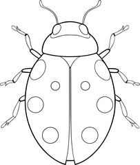 Line art shows ladybug beetle with spots on its wing covers against white
