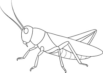 Linear grasshopper poses with its antennae extending upwards, presented on a transparent background