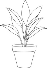 Outlined houseplant with pointed leaves fills a pot in a simple black and white drawing