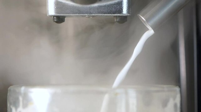 Steaming milk for a perfect coffee drink