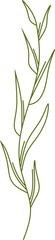 Fototapeta premium Wildflower Outline