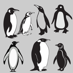 Obraz premium Penguin Black & White Vector Set