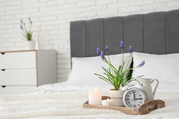 Wicker tray with beautiful Muscari flowers, burning candles, alarm clock and pitcher on comfortable...
